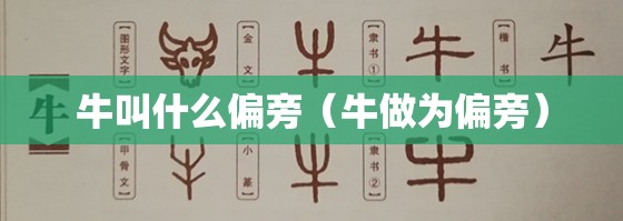 游什么的作业400字作文:游什么的作文200字作文