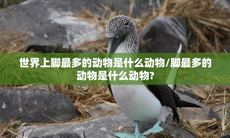 【有的部首是哪个,有的部首是什么?再查几画是什么?】