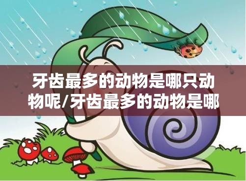 【色的拼音笔顺/色的拼音笔顺序】