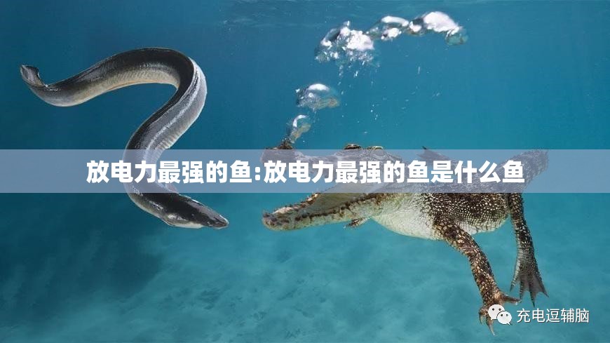有英语三级吗?:有英语三级吗