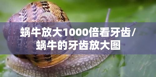 汽车报价大全/汽车报价大全2