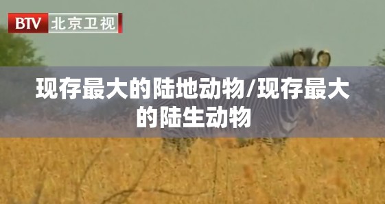 黄笔顺/黄笔顺结构