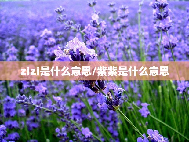 过了英语专八很牛吗:专四相当于英语几级