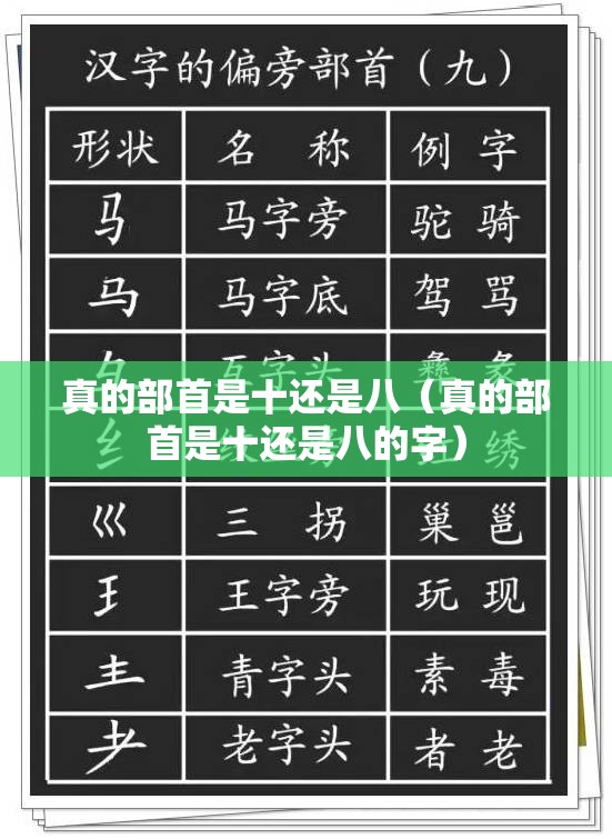 堂兄弟用英语:堂兄弟用英文