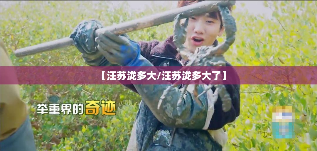 【汪苏泷多大/汪苏泷多大了】
