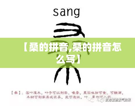 【桑的拼音,桑的拼音怎么写】