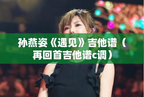 孙燕姿《遇见》吉他谱（再回首吉他谱c调）