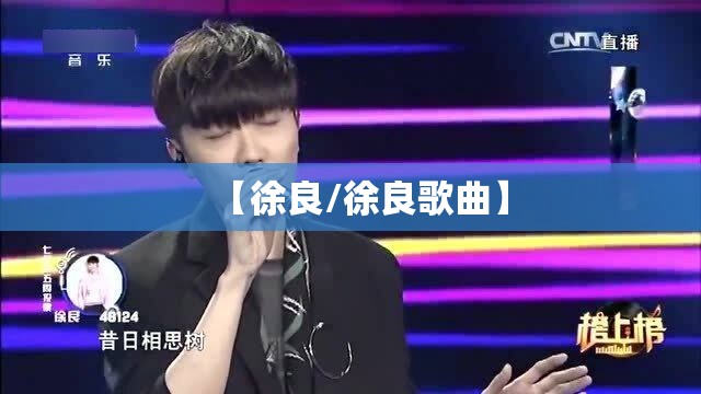 【徐良/徐良歌曲】