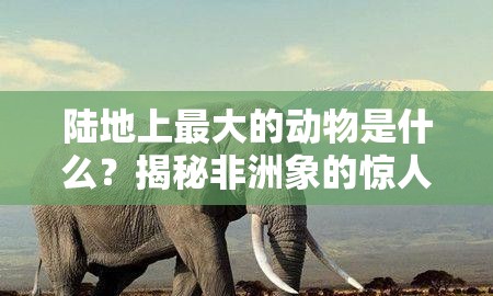 陆地上最大的动物是什么？揭秘非洲象的惊人世界与生存挑战