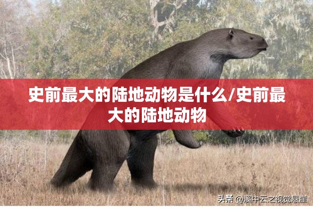 史前最大的陆地动物是什么/史前最大的陆地动物