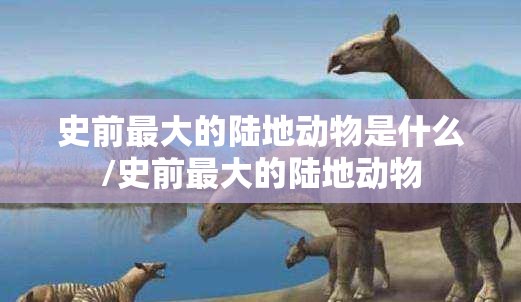 史前最大的陆地动物是什么/史前最大的陆地动物