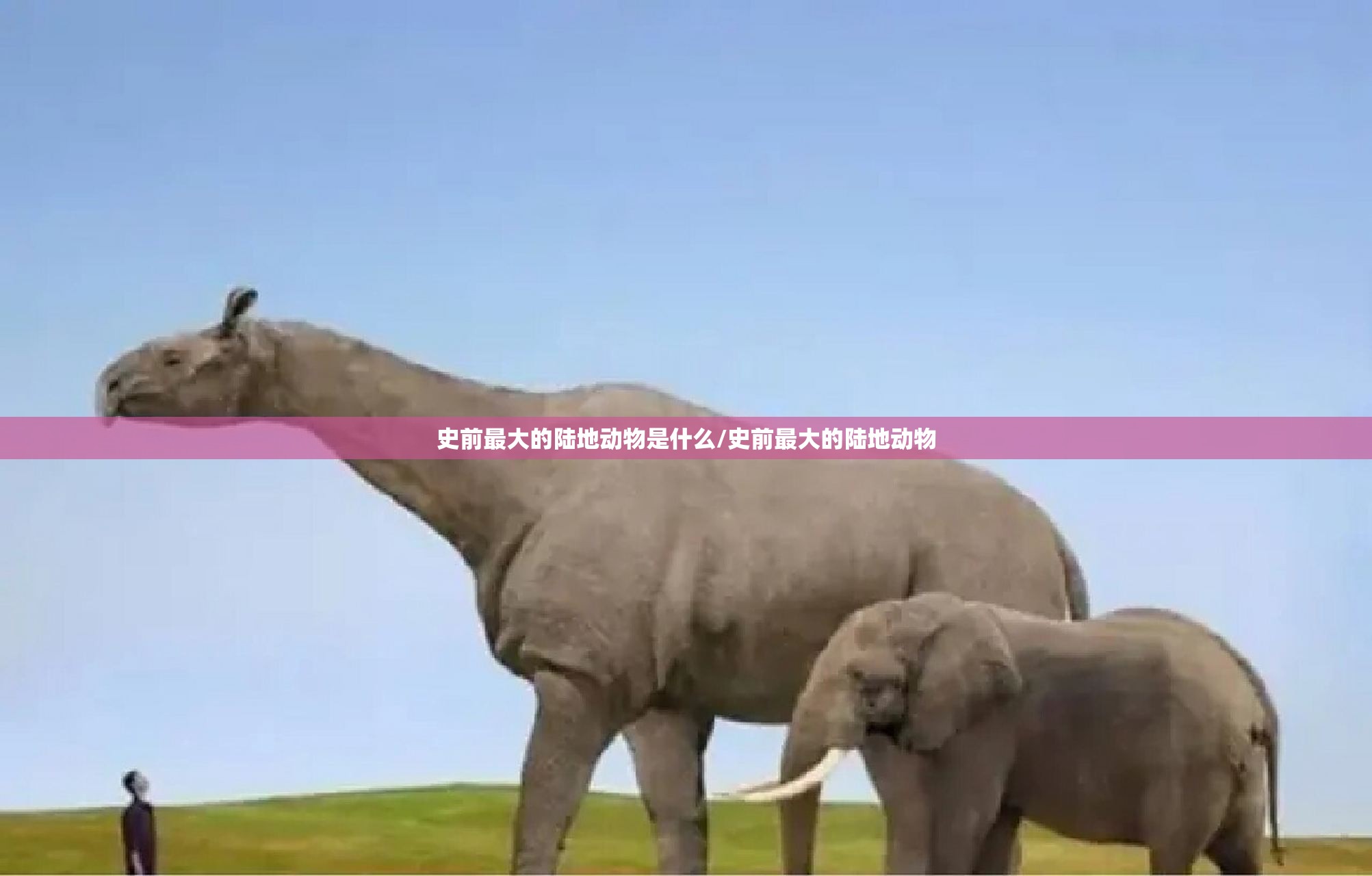 史前最大的陆地动物是什么/史前最大的陆地动物