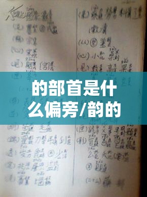 的部首是什么偏旁/韵的部首是什么偏旁