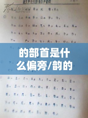 的部首是什么偏旁/韵的部首是什么偏旁