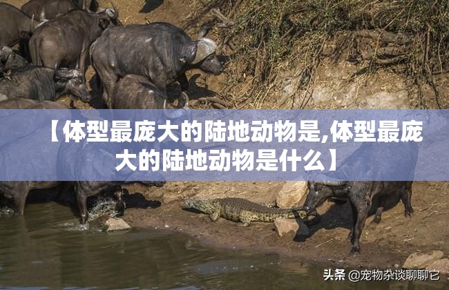 【体型最庞大的陆地动物是,体型最庞大的陆地动物是什么】