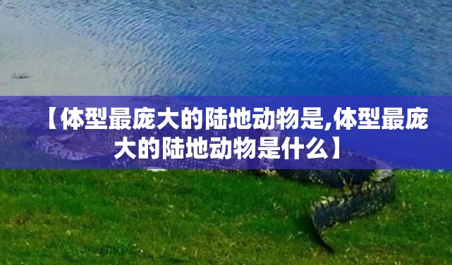 【体型最庞大的陆地动物是,体型最庞大的陆地动物是什么】