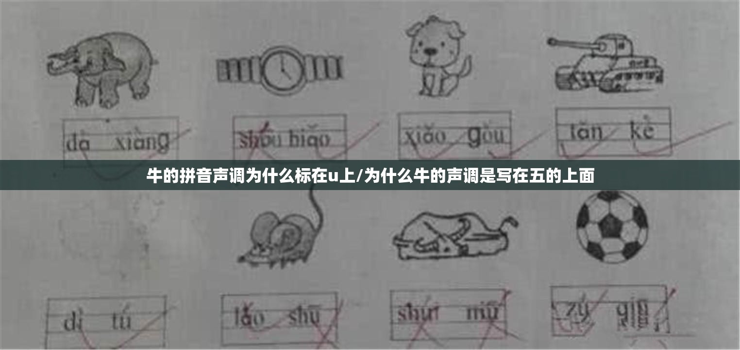 有的读音和组词/有的读音和组词和拼音