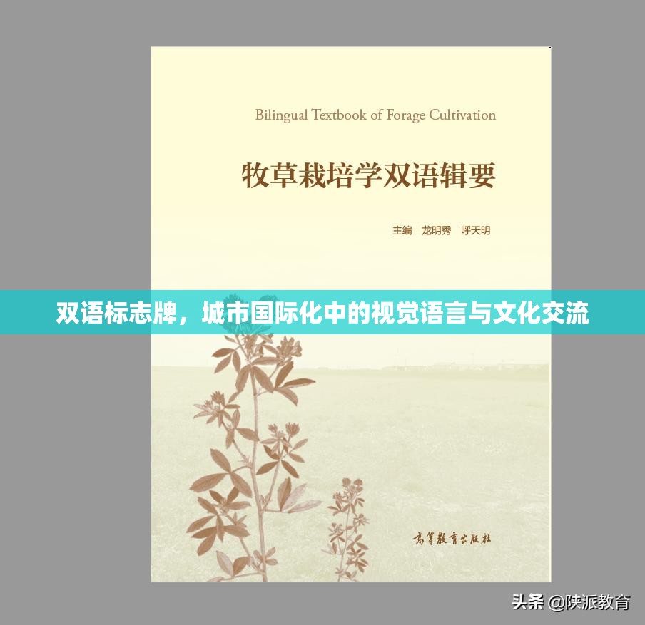 双语标志牌，城市国际化中的视觉语言与文化交流