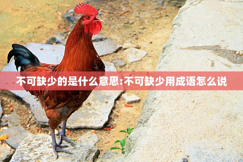 不可缺少的是什么意思:不可缺少用成语怎么说