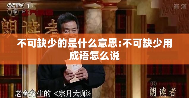 不可缺少的是什么意思:不可缺少用成语怎么说