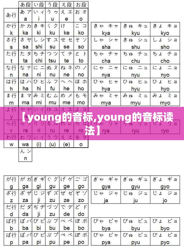 【young的音标,young的音标读法】