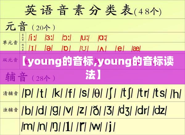 【young的音标,young的音标读法】