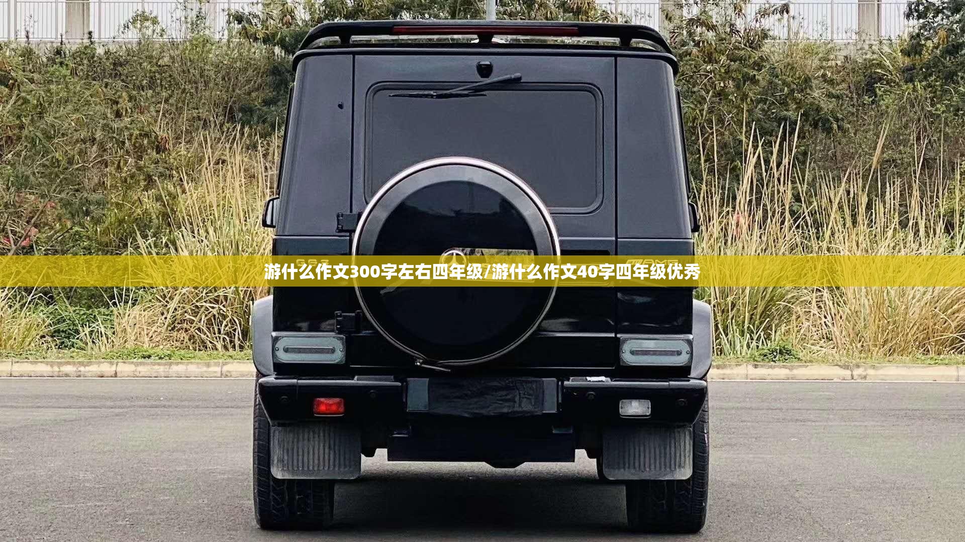 游什么作文300字左右四年级/游什么作文40字四年级优秀