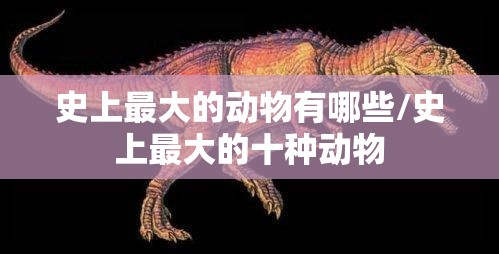 史上最大的动物有哪些/史上最大的十种动物