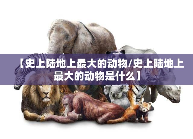 【史上陆地上最大的动物/史上陆地上最大的动物是什么】