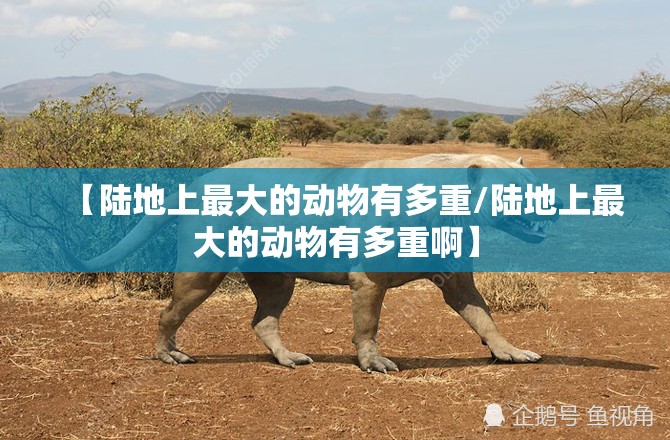 【陆地上最大的动物有多重/陆地上最大的动物有多重啊】