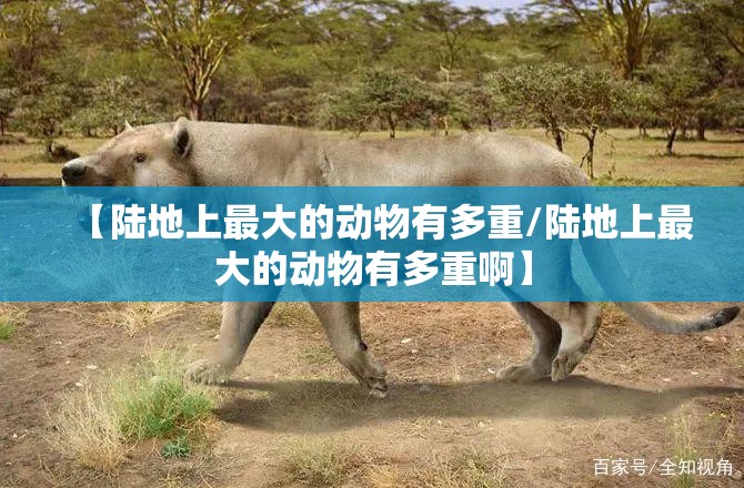 【陆地上最大的动物有多重/陆地上最大的动物有多重啊】