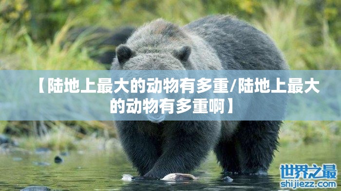 【陆地上最大的动物有多重/陆地上最大的动物有多重啊】