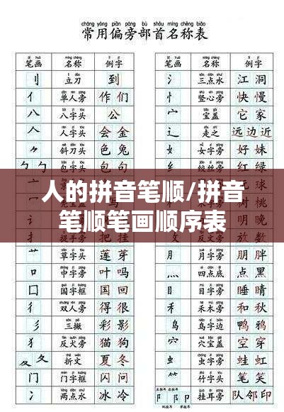 人的拼音笔顺/拼音笔顺笔画顺序表