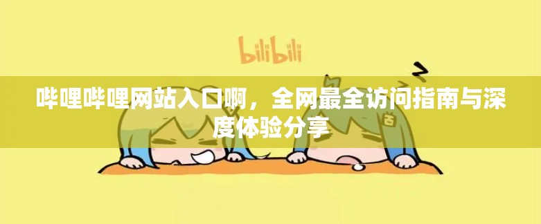 哔哩哔哩网站入口啊，全网最全访问指南与深度体验分享