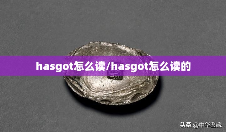 hasgot怎么读/hasgot怎么读的