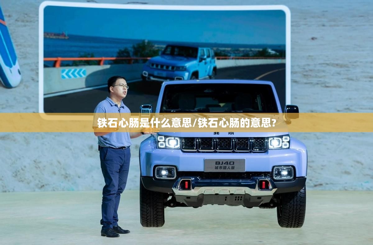 铁石心肠是什么意思/铁石心肠的意思?