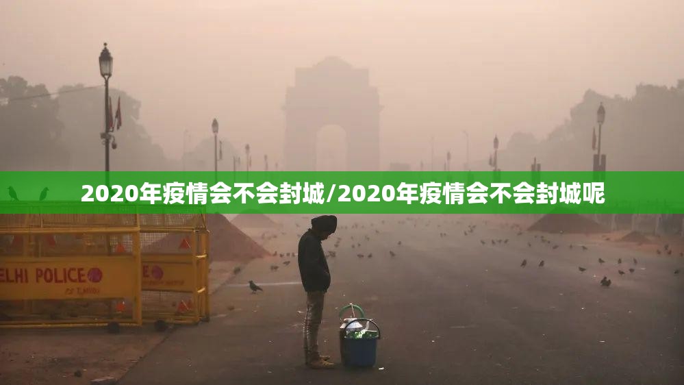 2020年疫情会不会封城/2020年疫情会不会封城呢