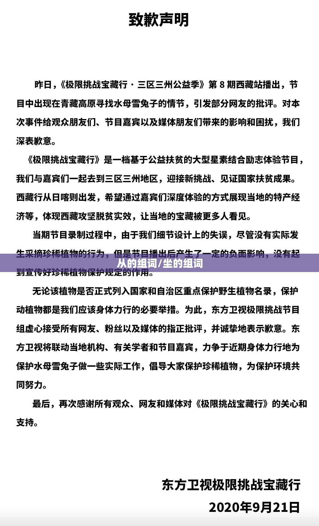 从的组词/坐的组词
