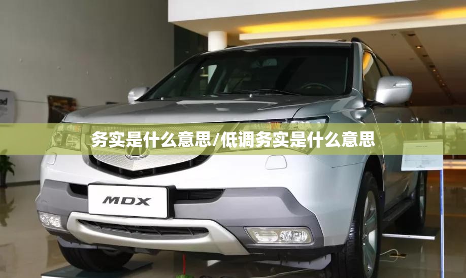 务实是什么意思/低调务实是什么意思
