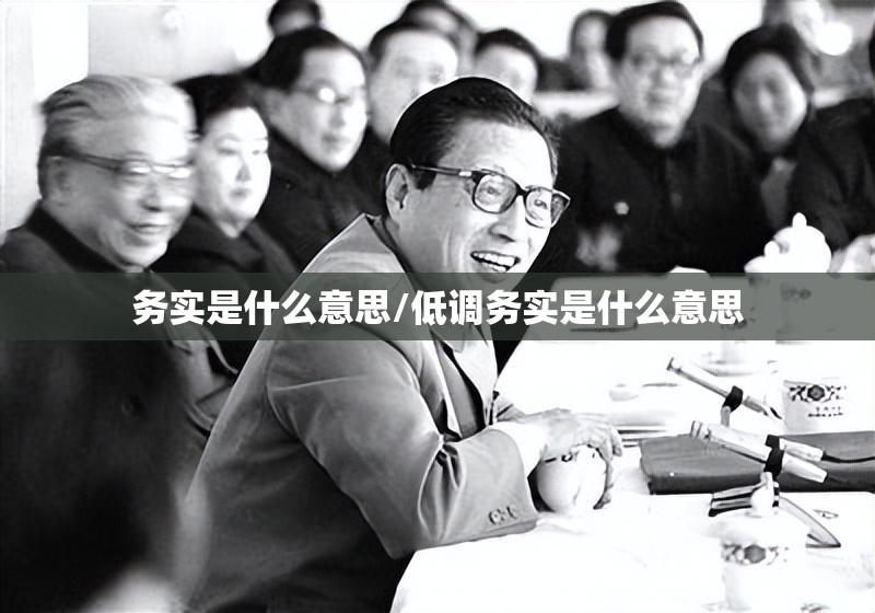 务实是什么意思/低调务实是什么意思
