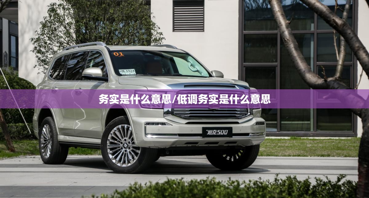 务实是什么意思/低调务实是什么意思
