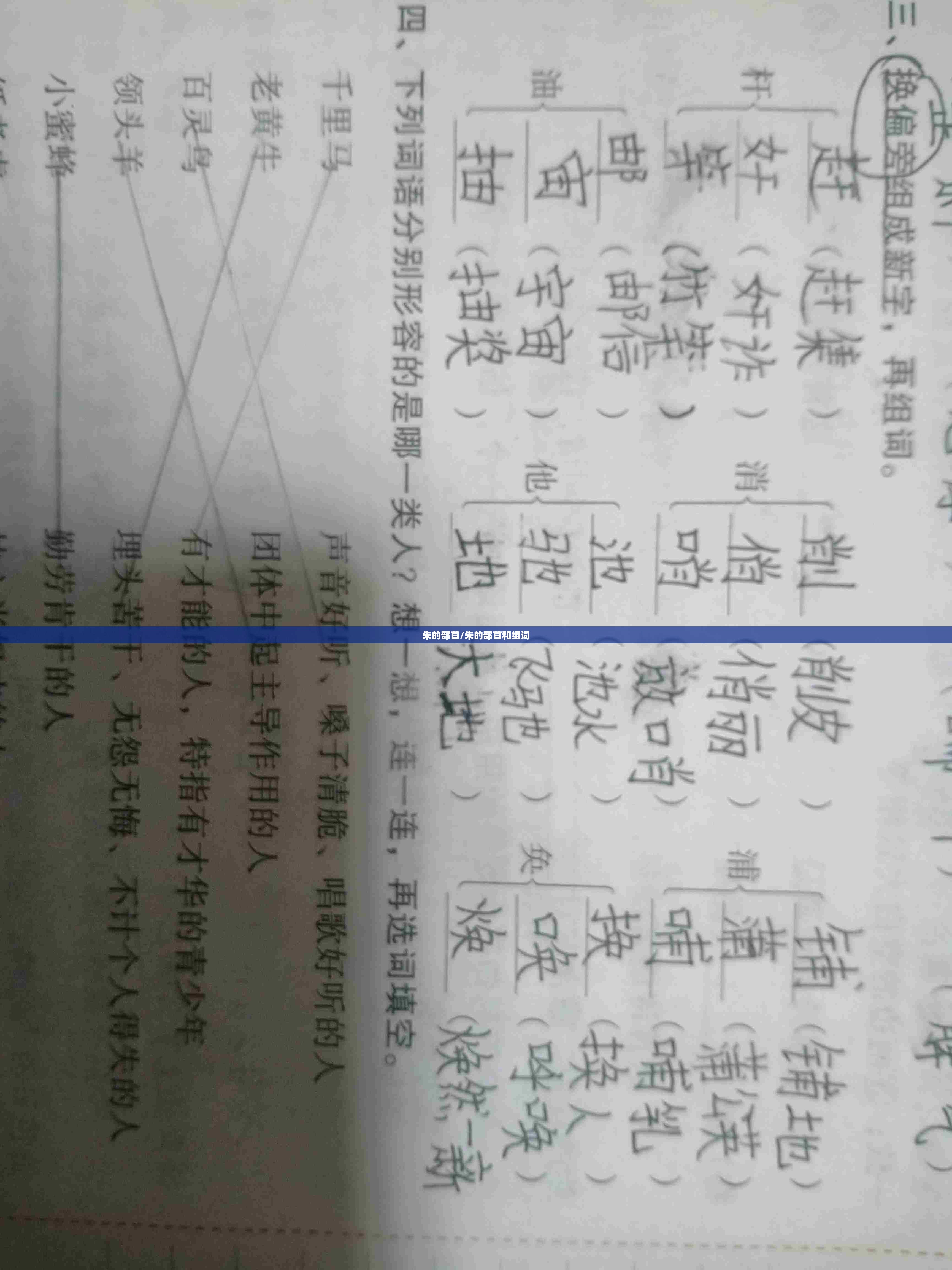 朱的部首/朱的部首和组词