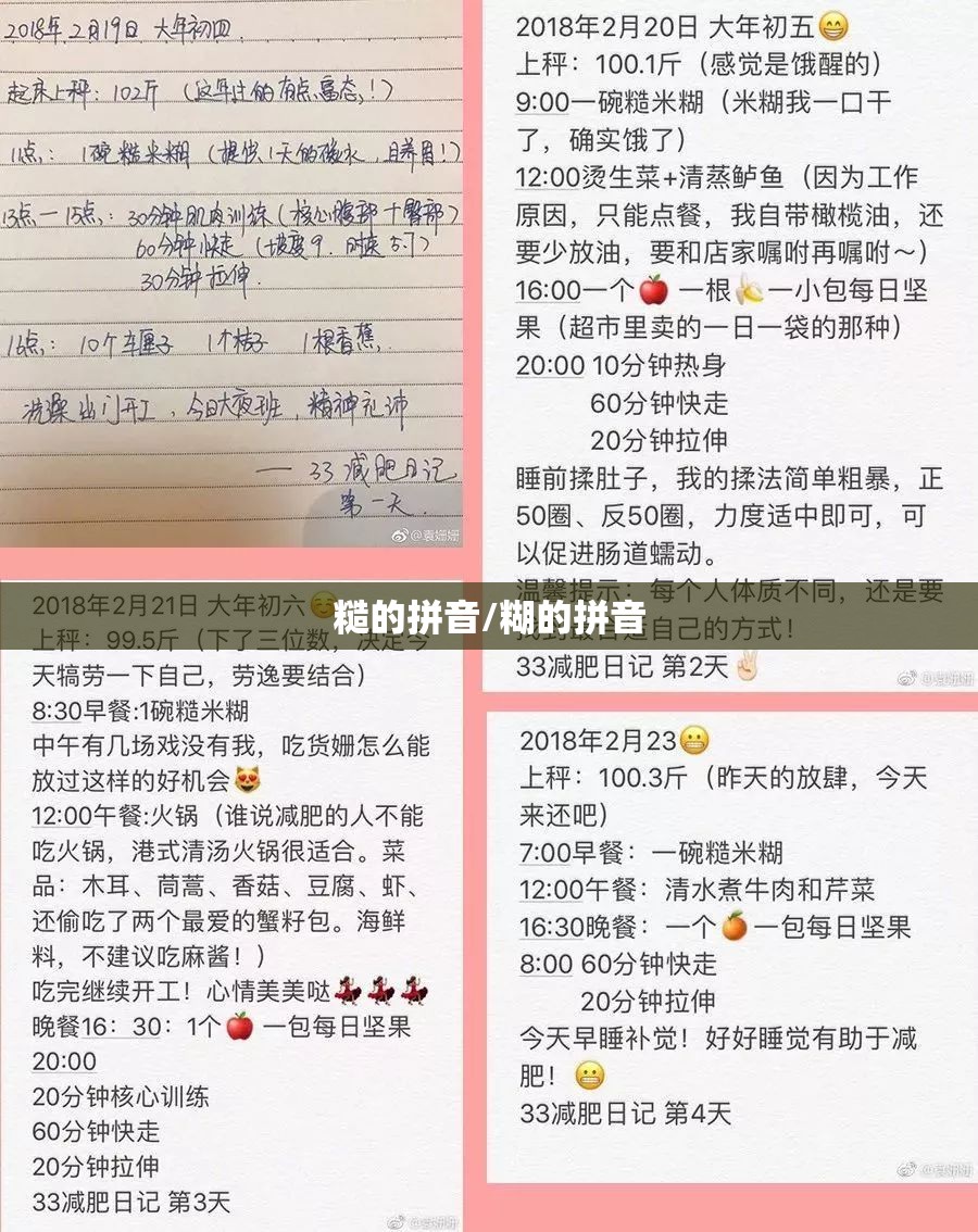 糙的拼音/糊的拼音
