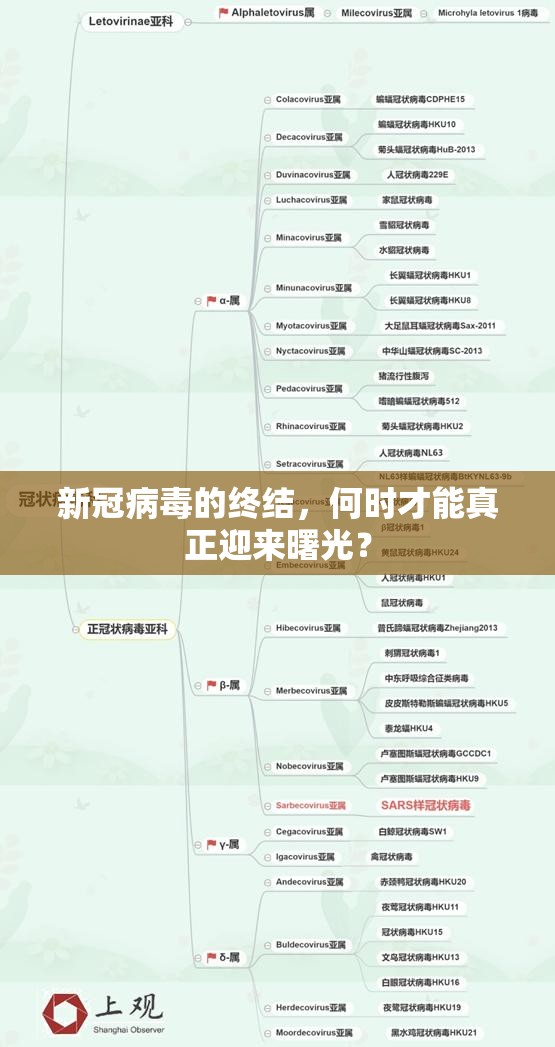 新冠病毒的终结，何时才能真正迎来曙光？