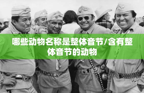 哪些动物名称是整体音节/含有整体音节的动物