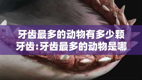 牙齿最多的动物有多少颗牙齿:牙齿最多的动物是哪个动物?