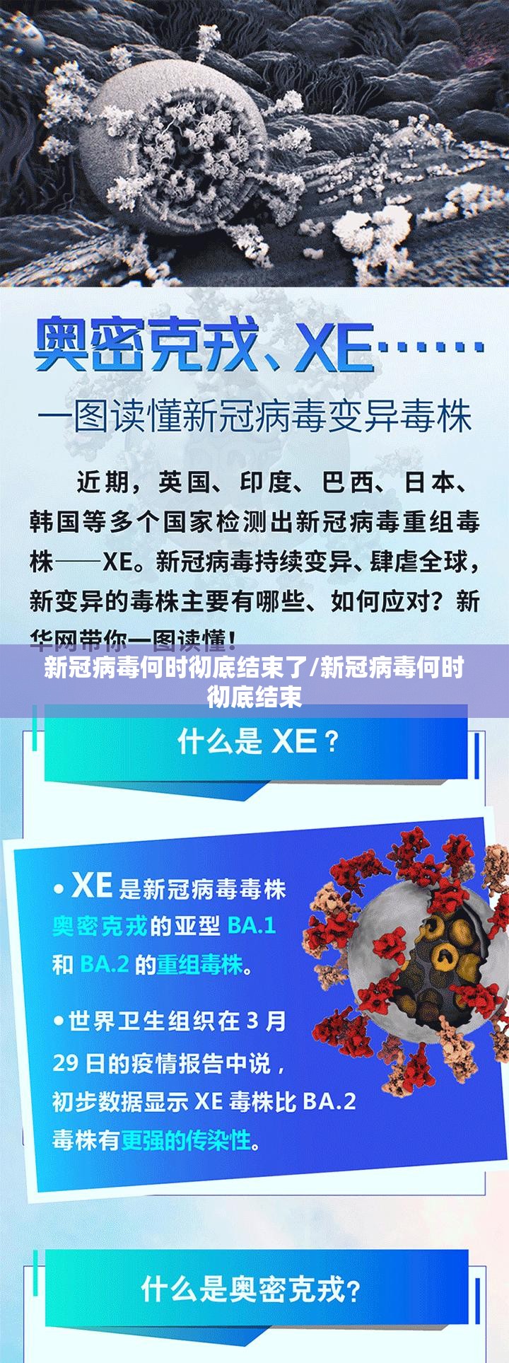 新冠病毒何时彻底结束了/新冠病毒何时彻底结束