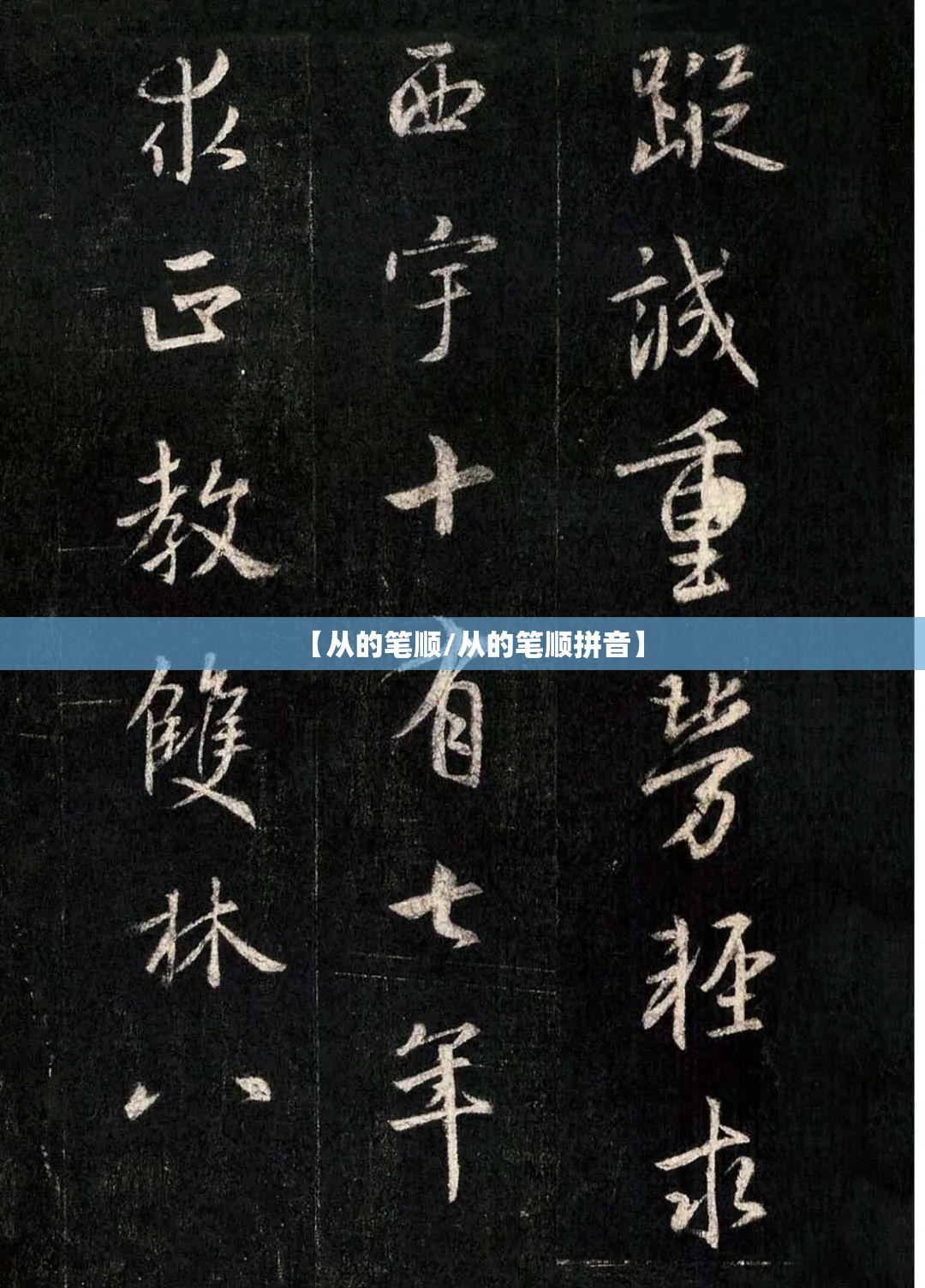 【从的笔顺/从的笔顺拼音】