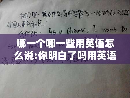 哪一个哪一些用英语怎么说:你明白了吗用英语怎么回答