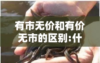 有市无价和有价无市的区别:什么是有价无市和有市无价